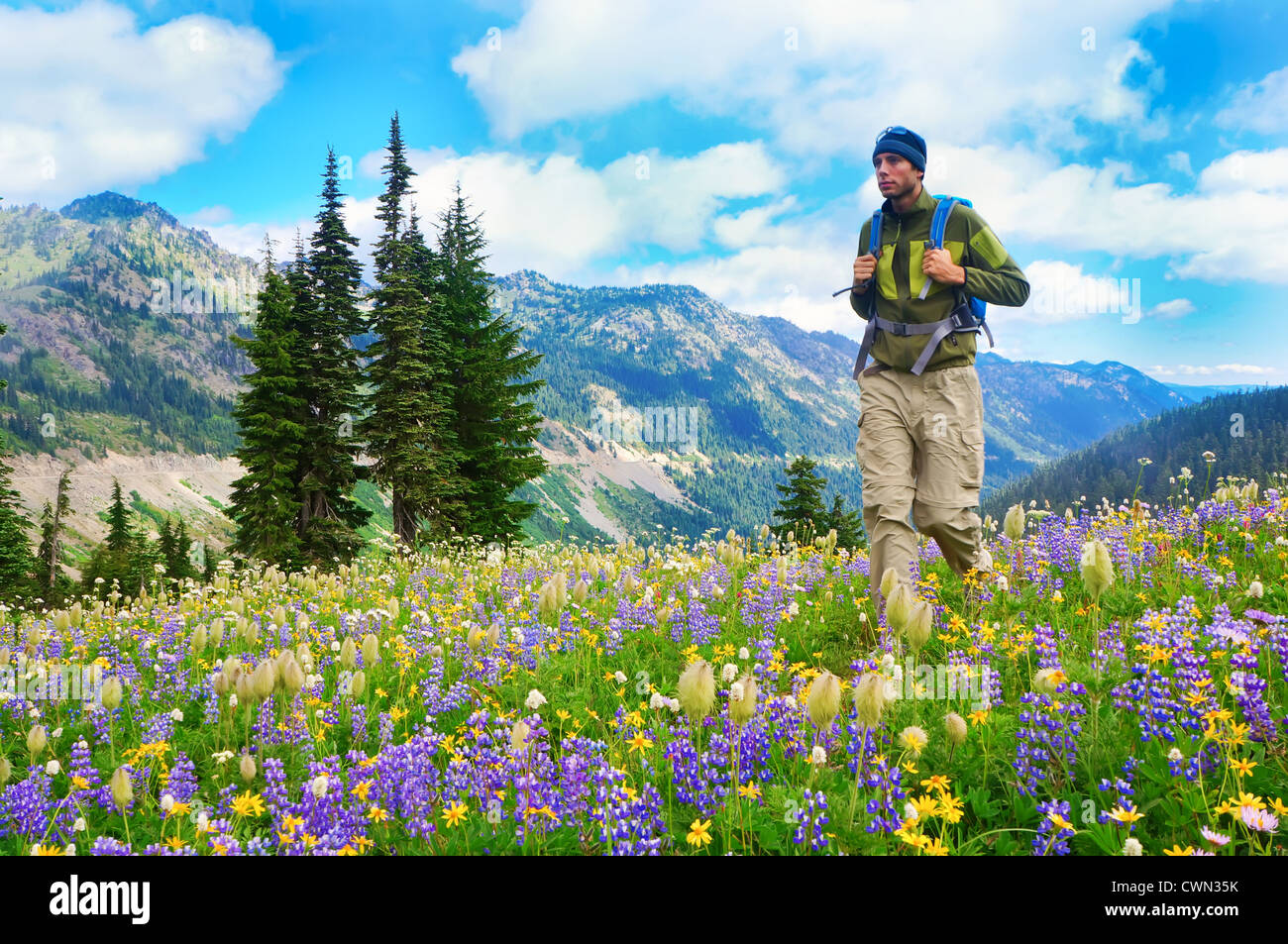 Maschio di escursionisti a piedi il sentiero di montagna con fiori selvatici. Foto Stock