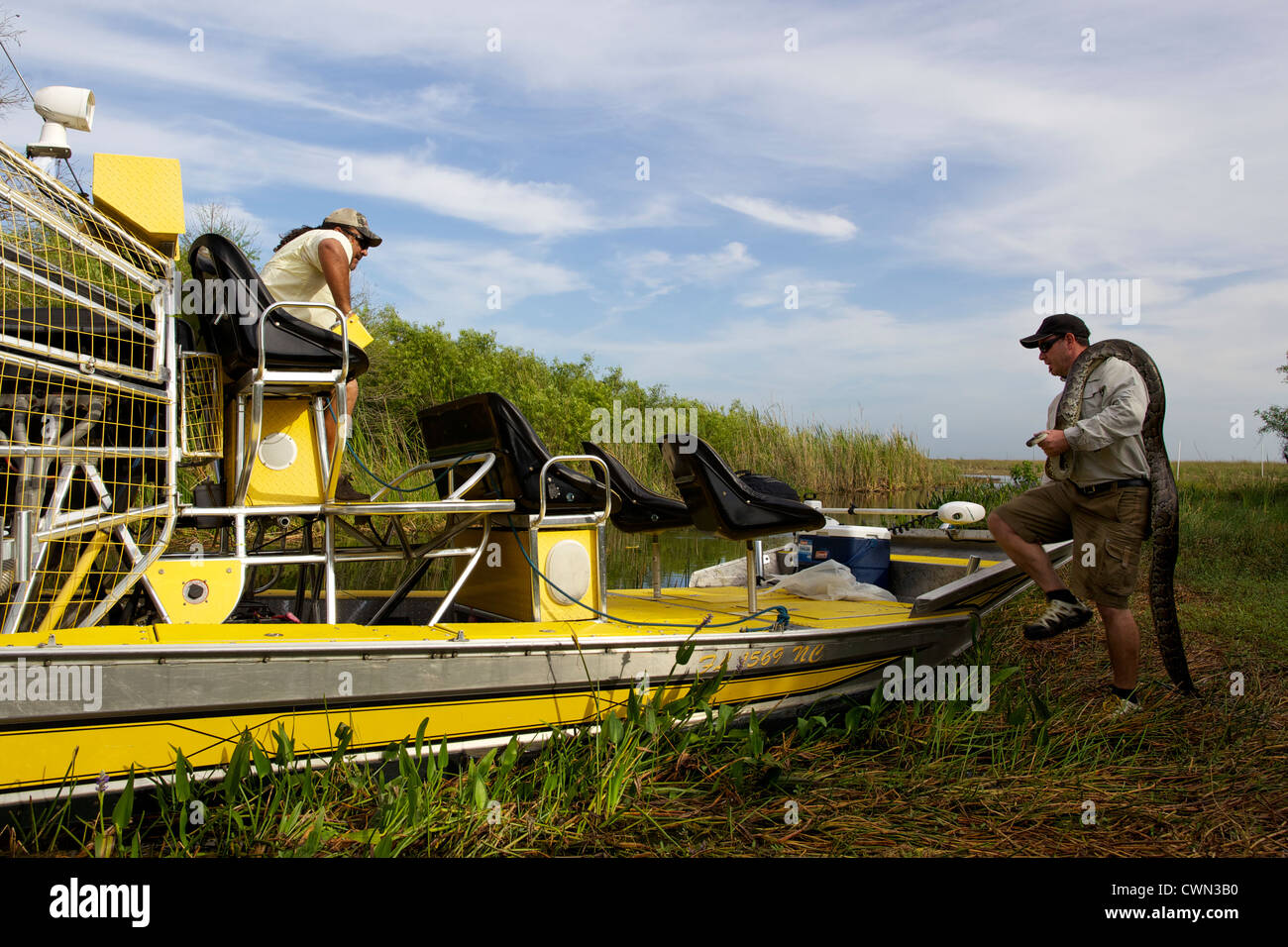 Shawn Heflick la cattura di un pitone in Everglades Foto Stock