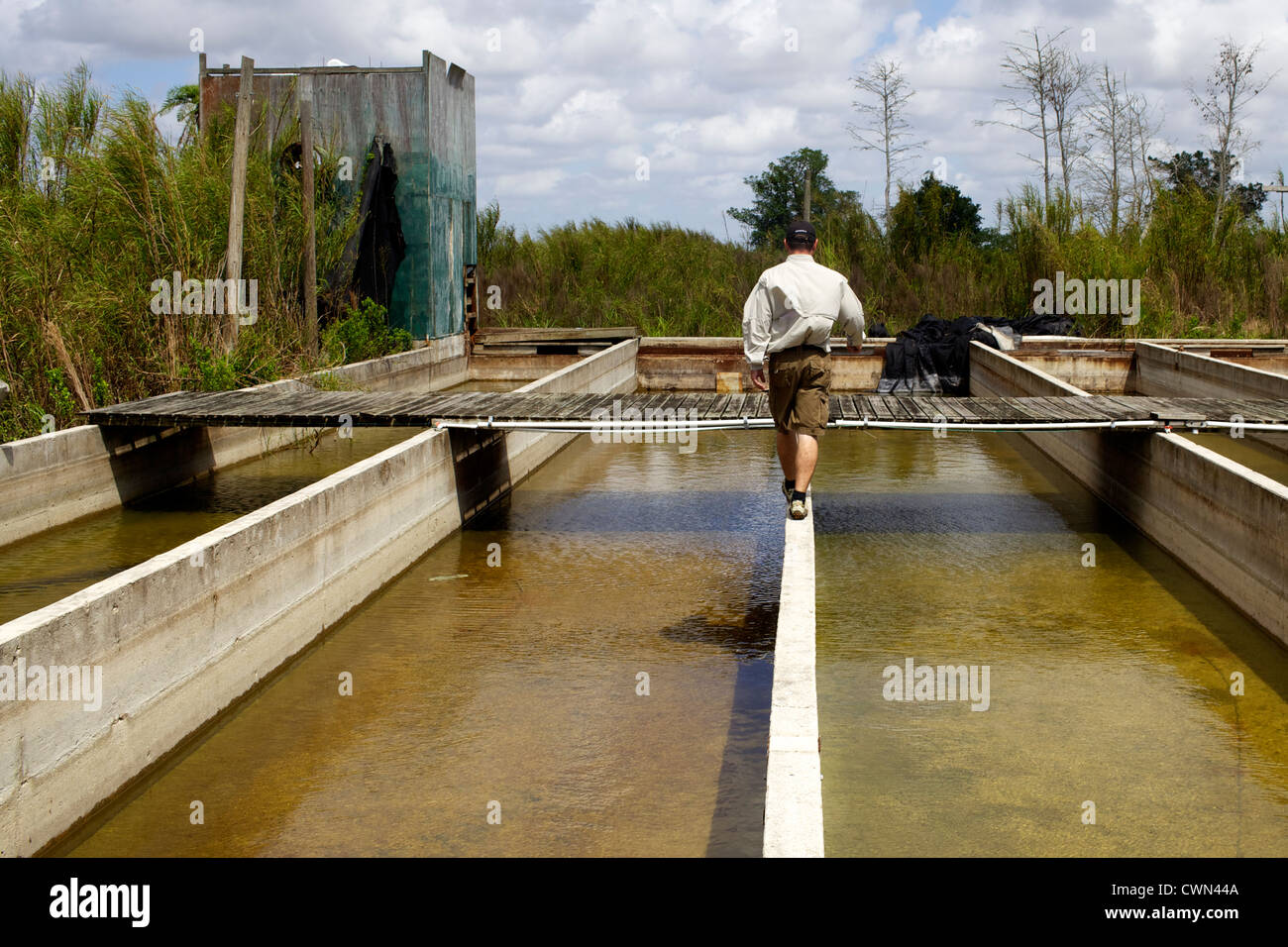 Shawn Heflick pitoni di caccia nella vecchia base missilistica della Florida Foto Stock