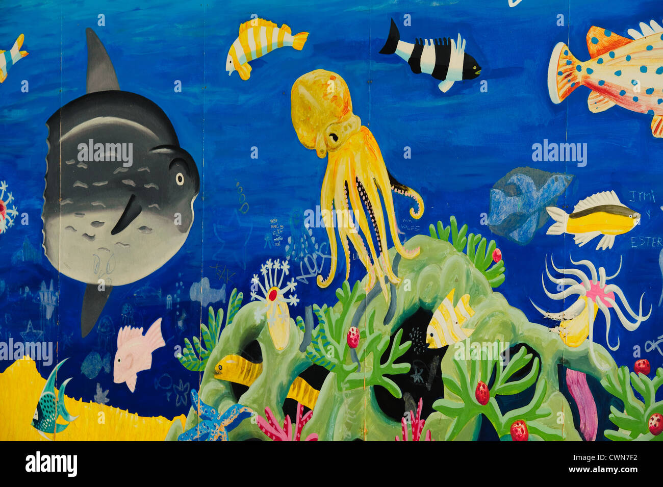 Sealife sotto acqua scena pittura murale Foto Stock