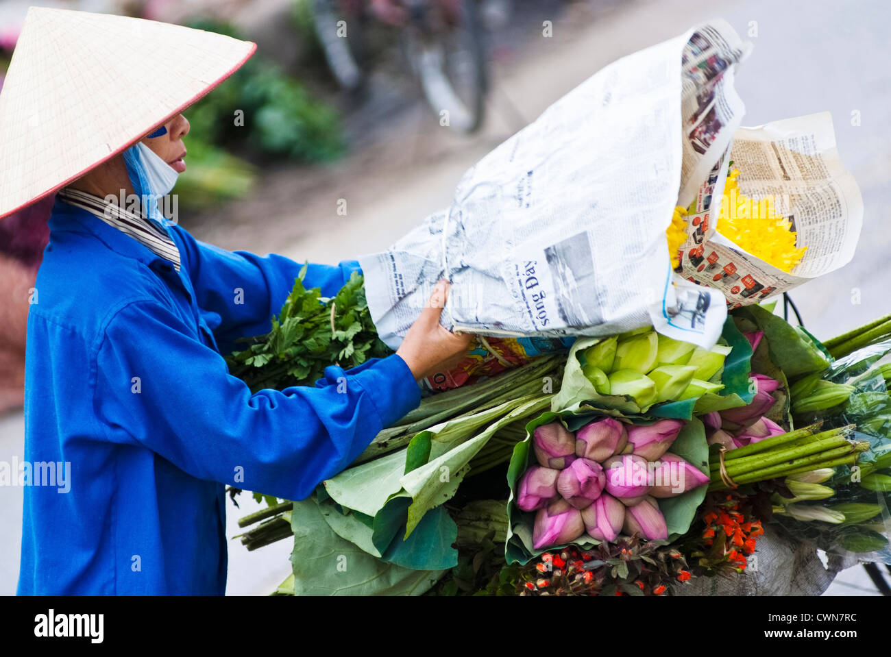 Venditore di fiori all'Quang Ba il mercato dei fiori, Hanoi, Vietnam Foto Stock