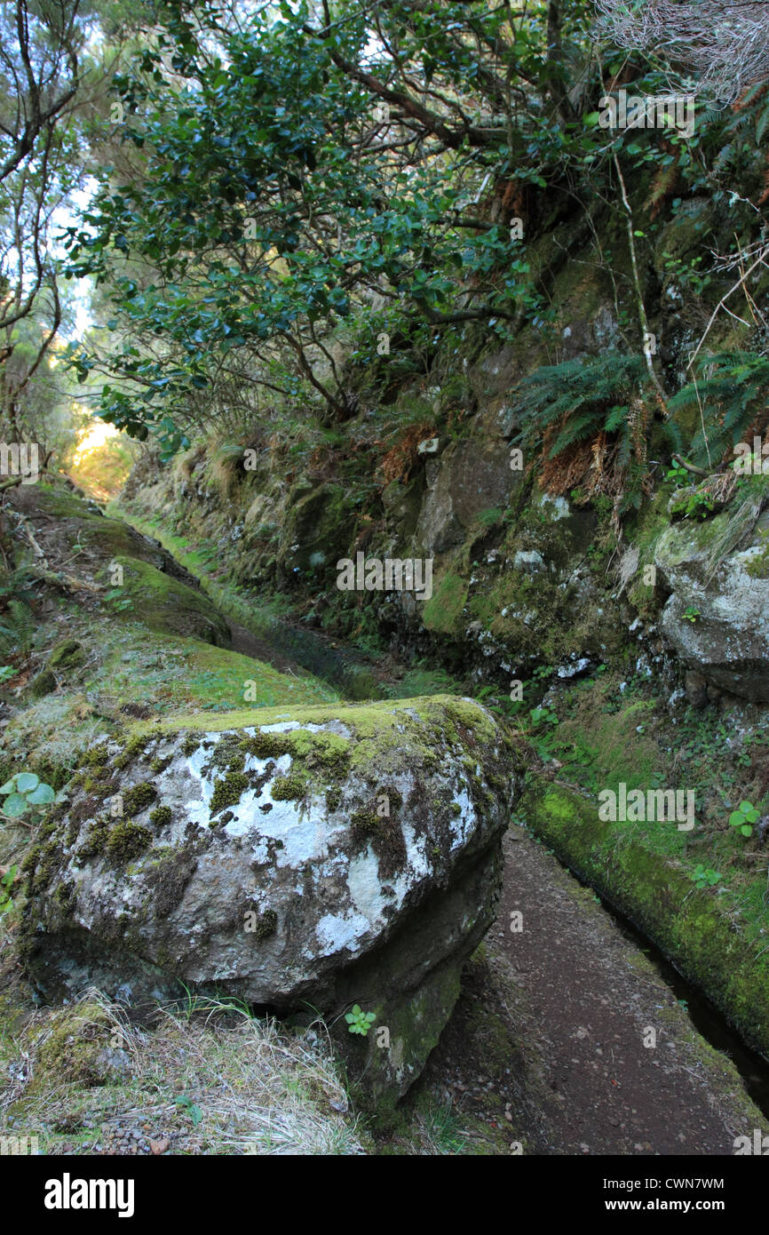 Vista del tipico levada, Madeira, Portogallo Foto Stock