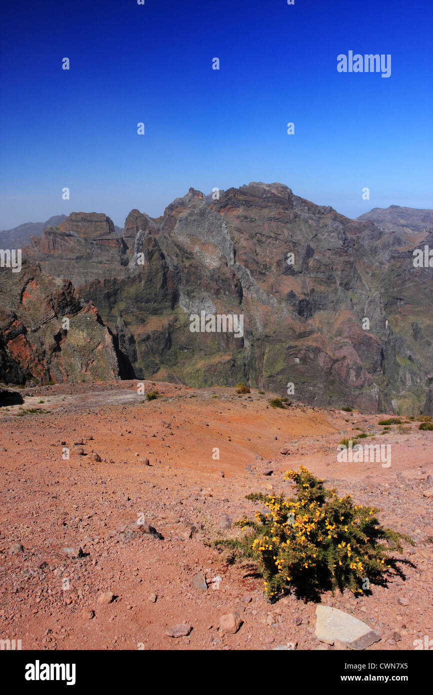 Vista da Pico de Arreiro, Madeira, Portogallo Foto Stock