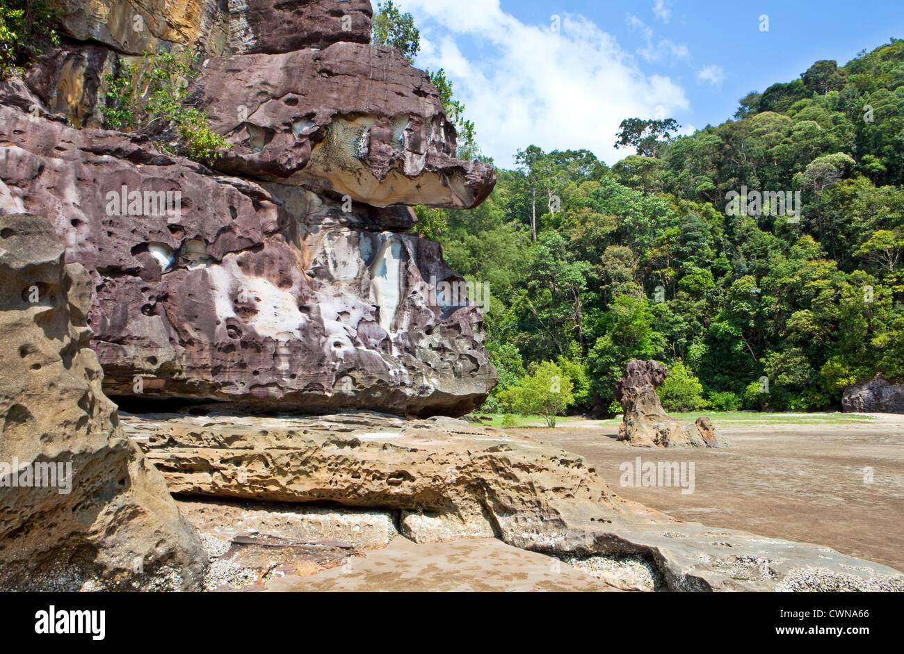 Rocce, la spiaggia e la foresta pluviale, Bako National Park, Borneo Malaysia Foto Stock