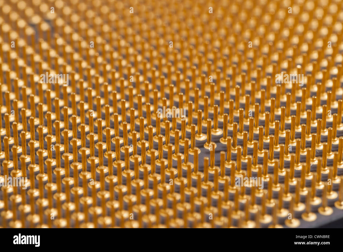 Vista parte inferiore di una moderna CPU chip di computer o unità centrale di elaborazione Foto Stock