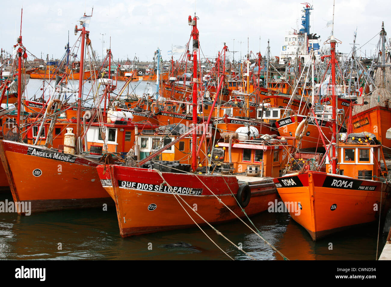 Barche da pesca al porto, Mar del Plata, Argentina. Foto Stock