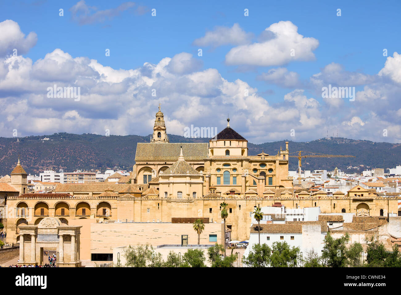 Cattedrale Mezquita (la grande moschea) nella città di Cordoba, Spagna, regione andalusia. Foto Stock