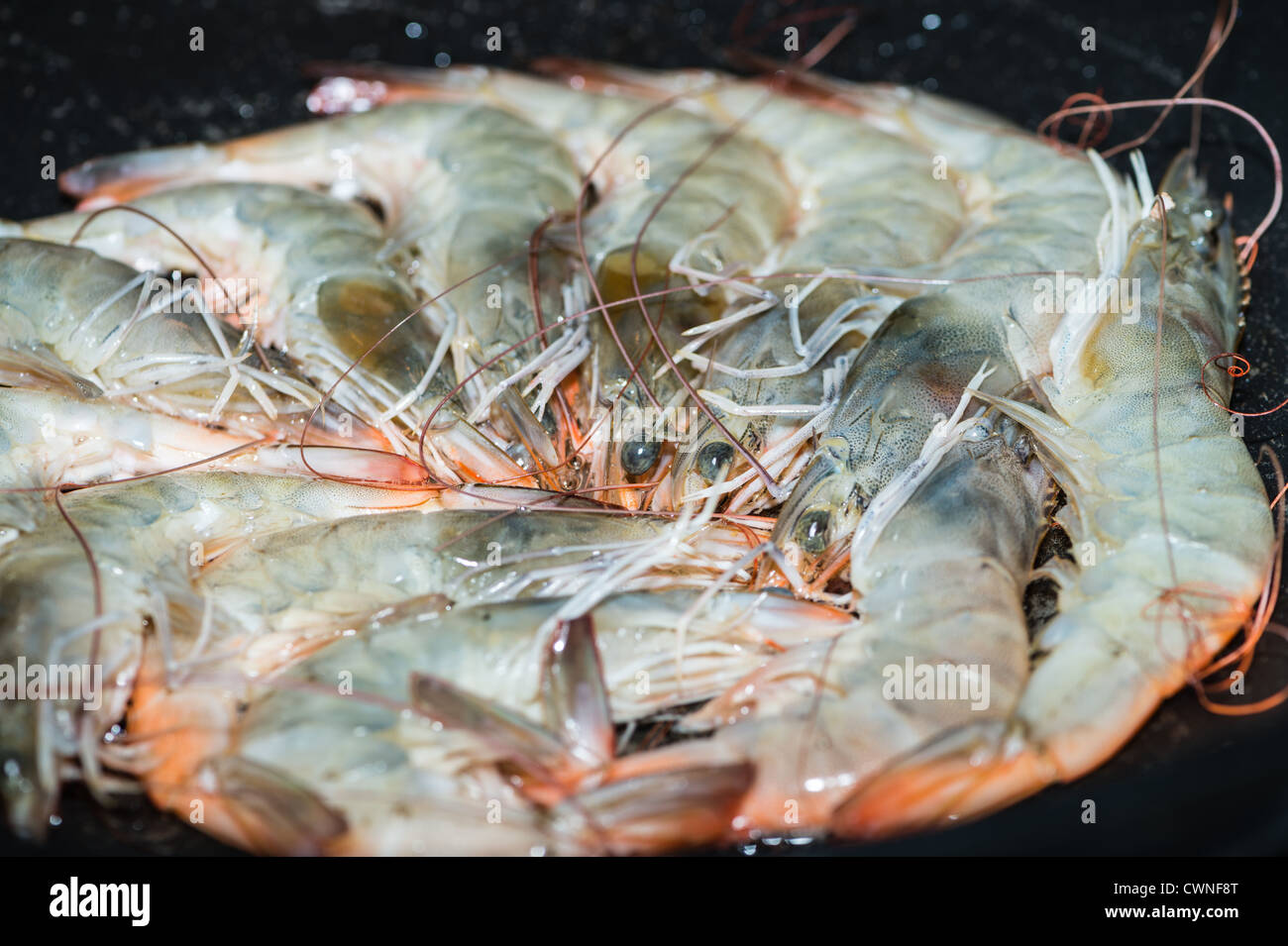 Materie i gamberetti sono cotte in padella. Focus sui gamberetti i capi in medio. Foto Stock