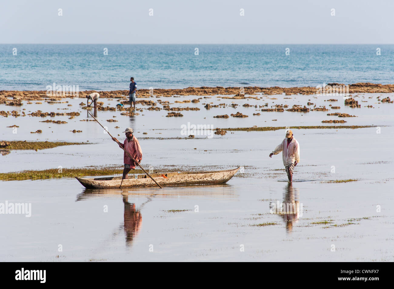 Isola di St Marie, Madagascar - pescatori sulla spiaggia in una scavata-out canoa la raccolta di molluschi e crostacei Foto Stock