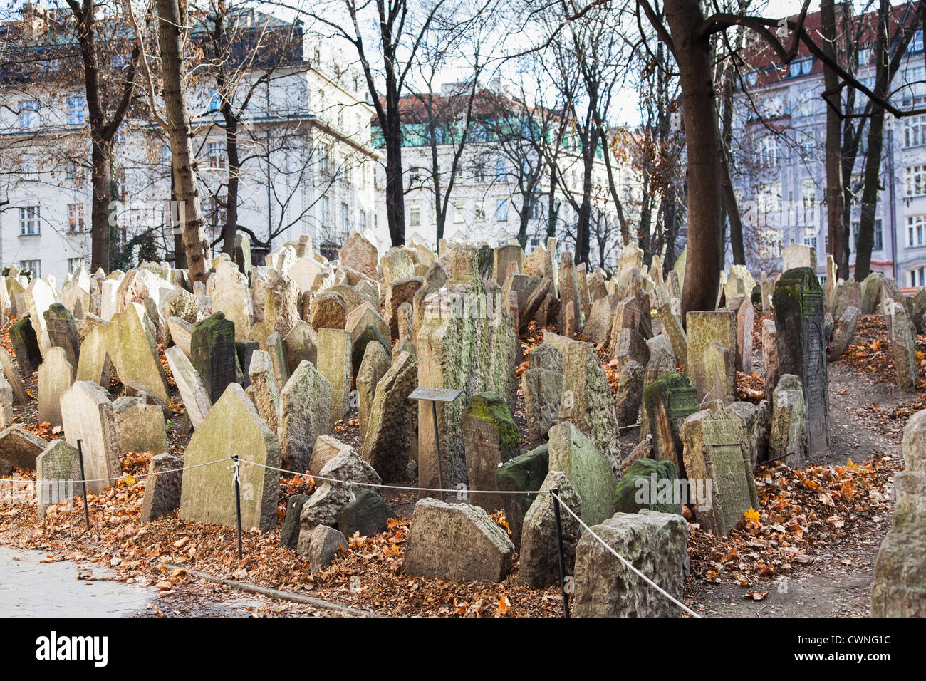 Le lapidi nel cimitero ebraico di Praga in inverno Foto Stock