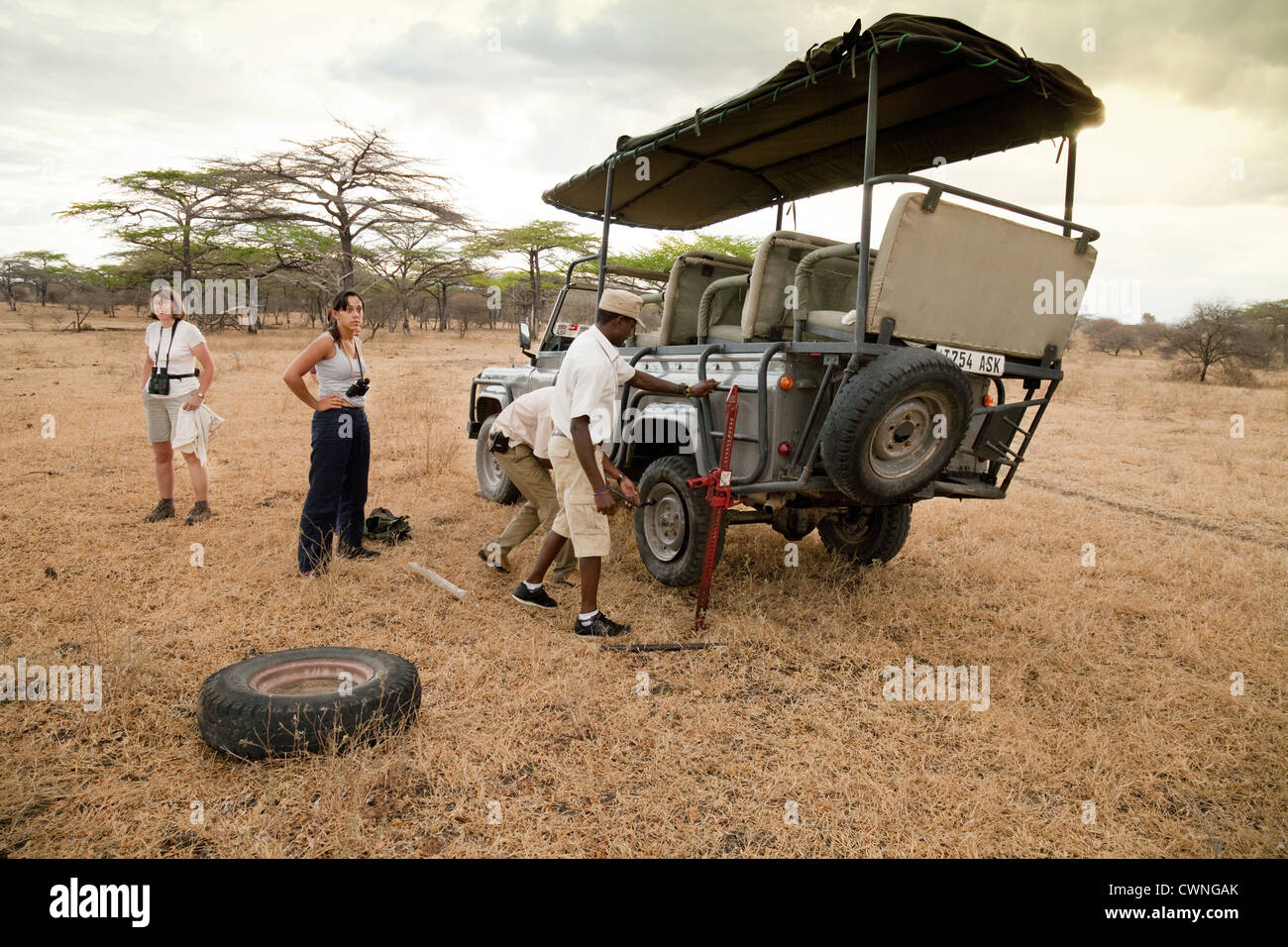 Turisti arriva fuori della jeep safari mentre la guida e autista cambiare un pneumatico sgonfio, Riserva Selous Tanzania Africa Foto Stock