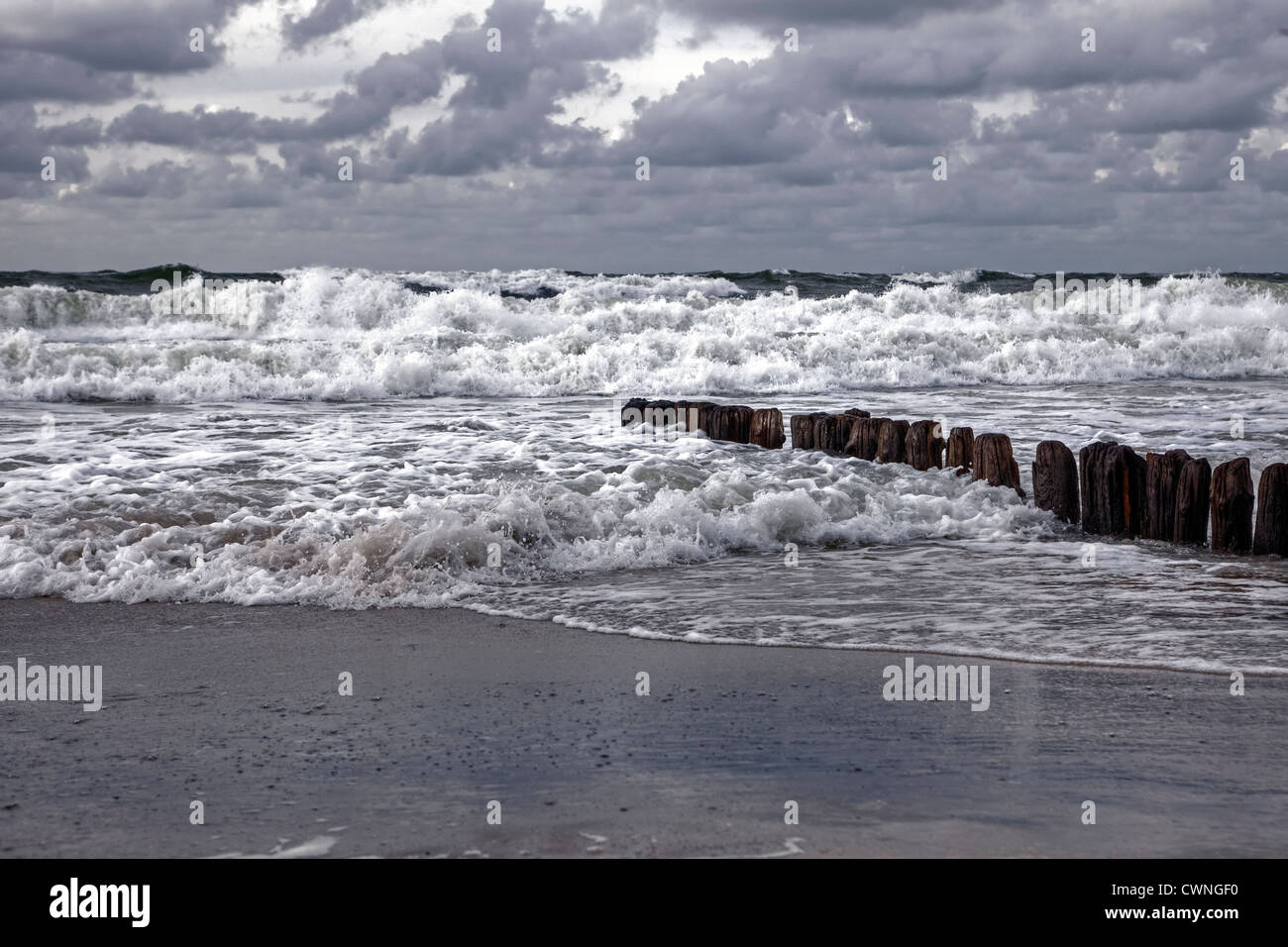 Groyne, spiaggia, Kampen, Sylt, Mare del Nord, Schleswig-Holstein, Germania Foto Stock