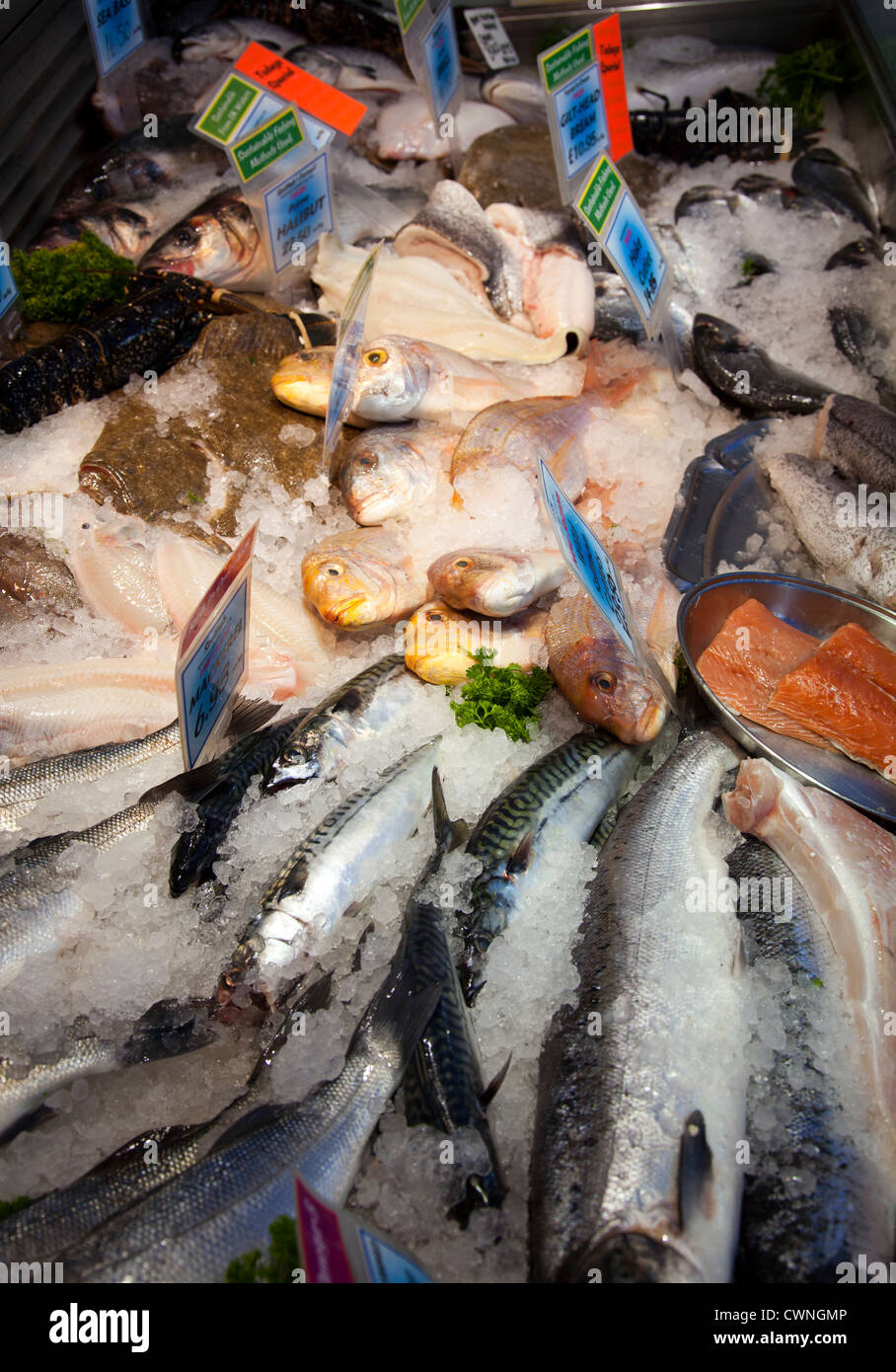 Un assortimento di pesce su ghiaccio a pescivendolo - REGNO UNITO Foto Stock