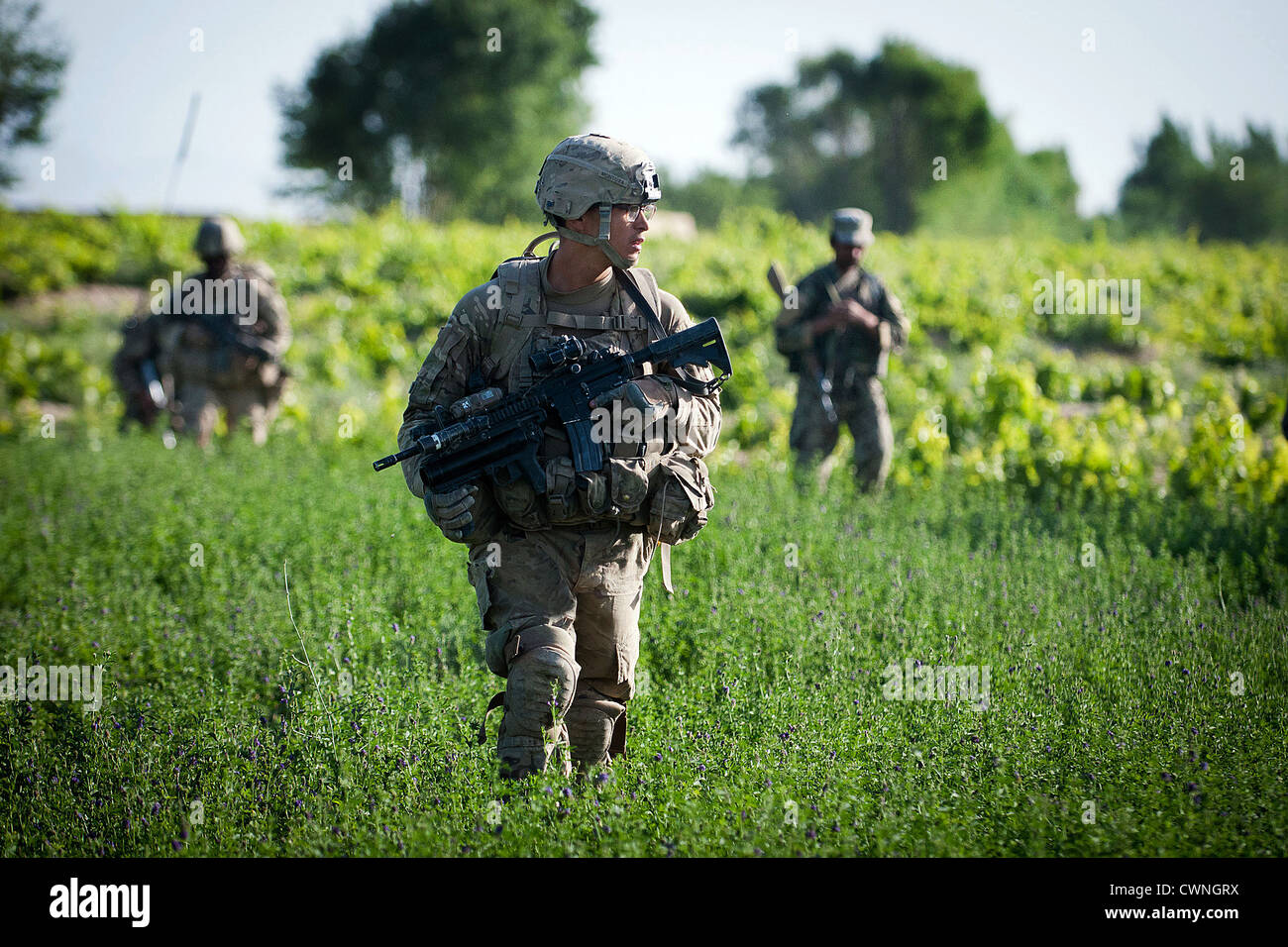 Un esercito americano paracadutista pattuglie attraverso un campo di erba medica Giugno 14, 2012 nel sud della provincia di Ghazni, Afghanistan. Foto Stock