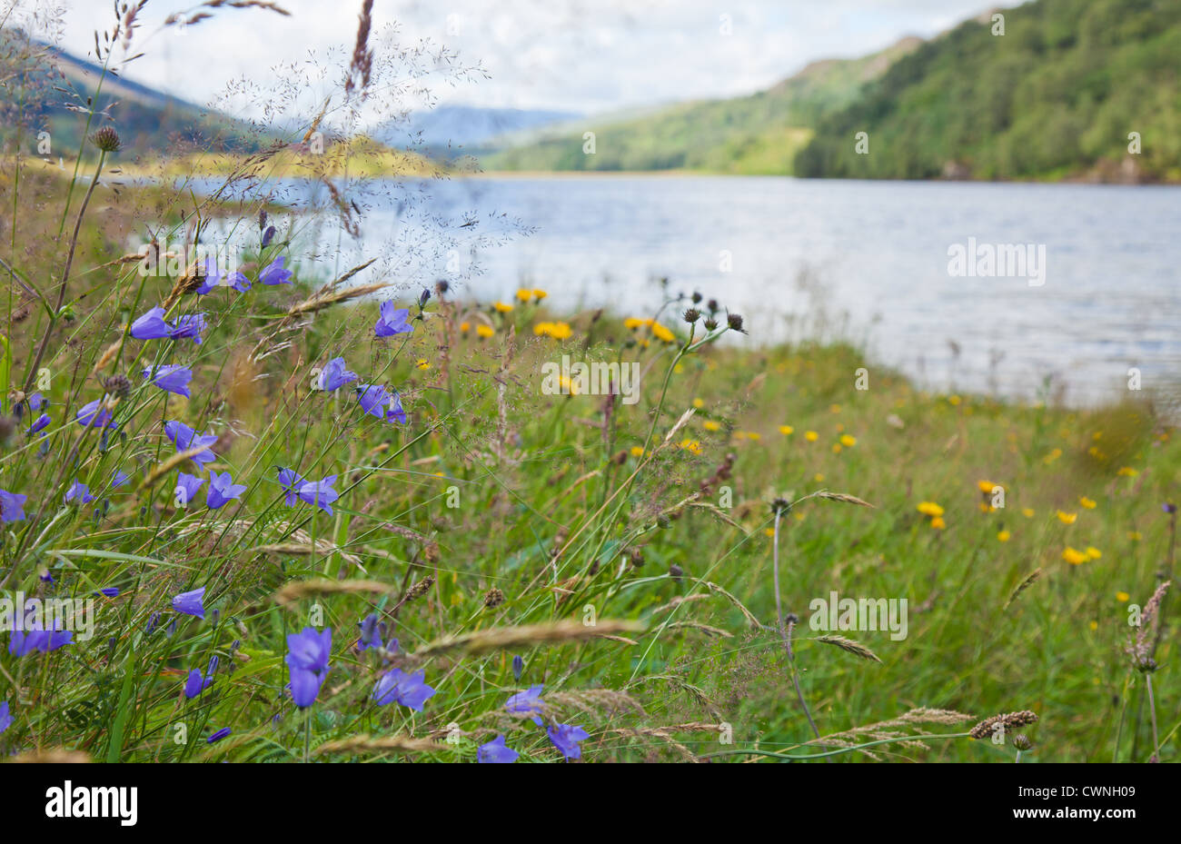 Estate scozzese paesaggio con lago Foto Stock