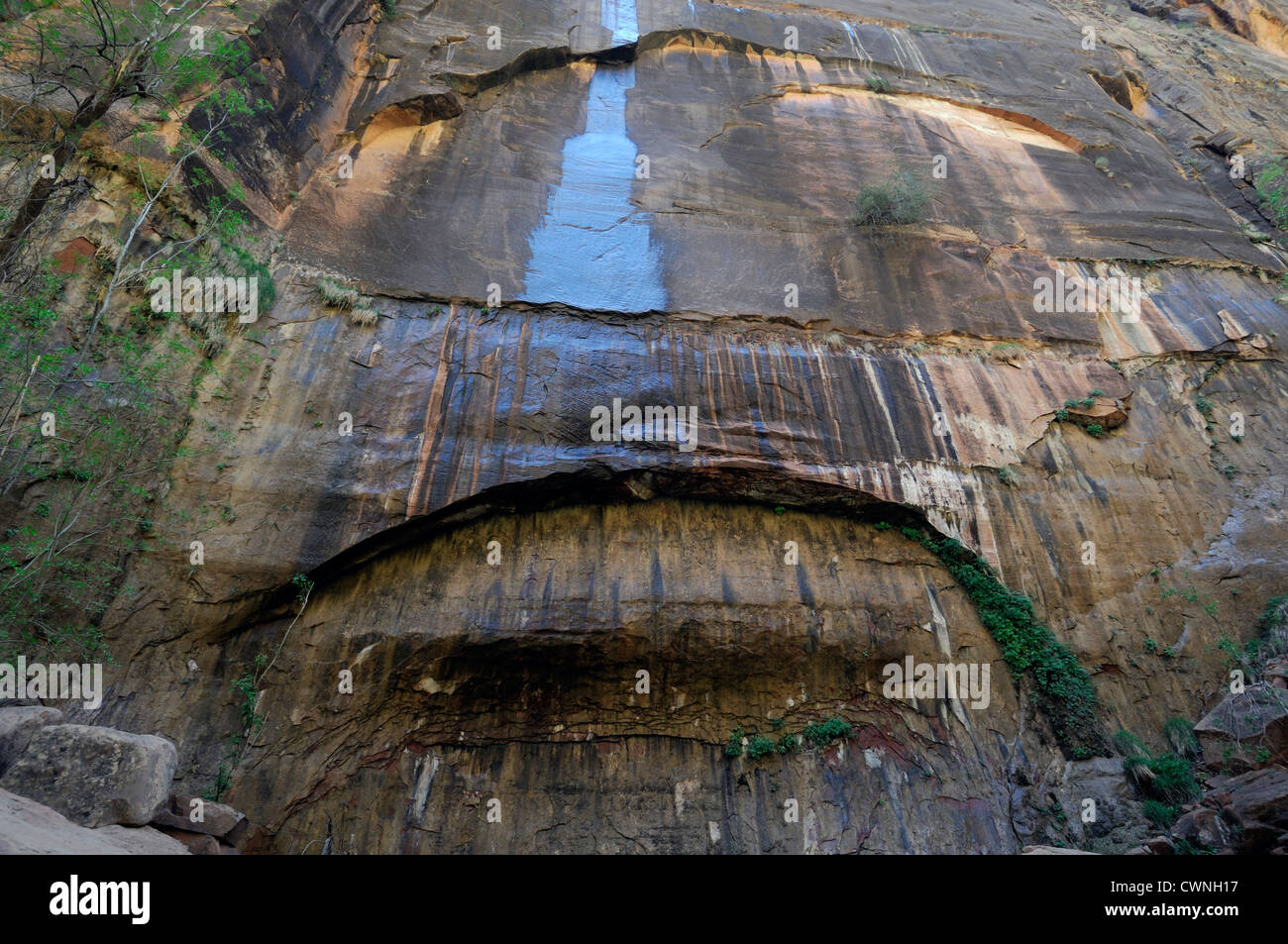 Arco di pietra arenaria modulo di formazione di partenza di inizio processo geologico zion national park nello Utah Foto Stock