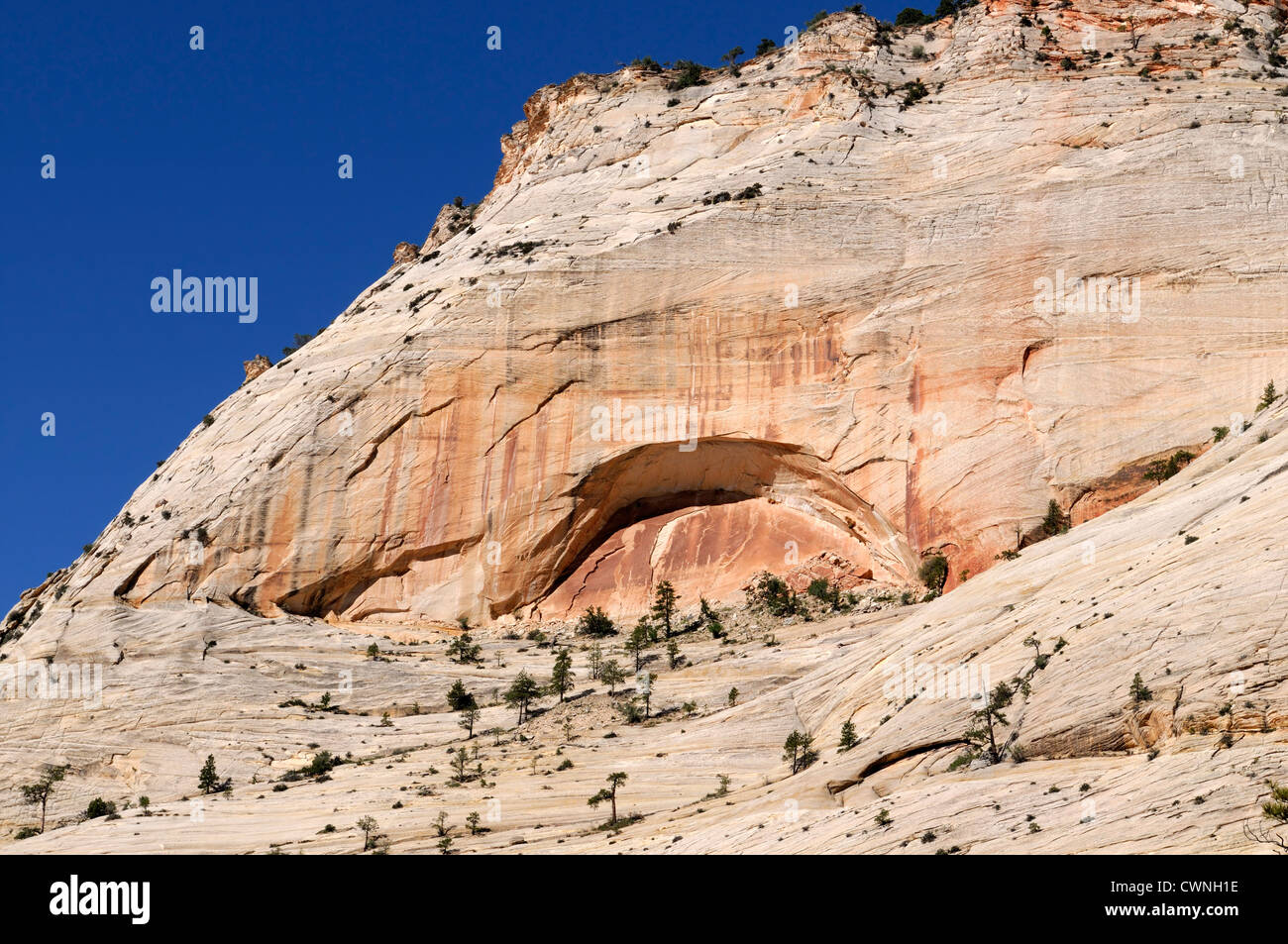 Arco di pietra arenaria modulo di formazione di partenza di inizio processo geologico zion national park nello Utah Foto Stock