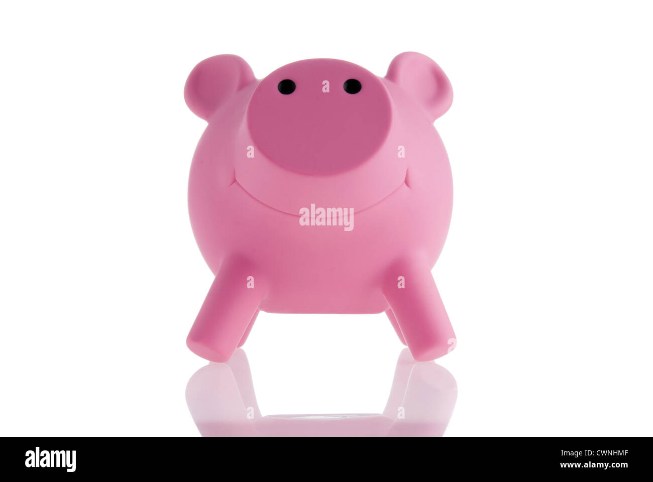 Rosa salvadanaio, isolata su 100% sfondo bianco Foto Stock