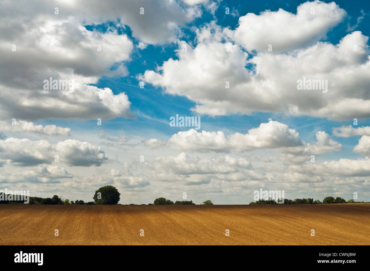 Nuvole temporalesche raccolta seminate su terreni agricoli - Indre-et-Loire, Francia. Foto Stock