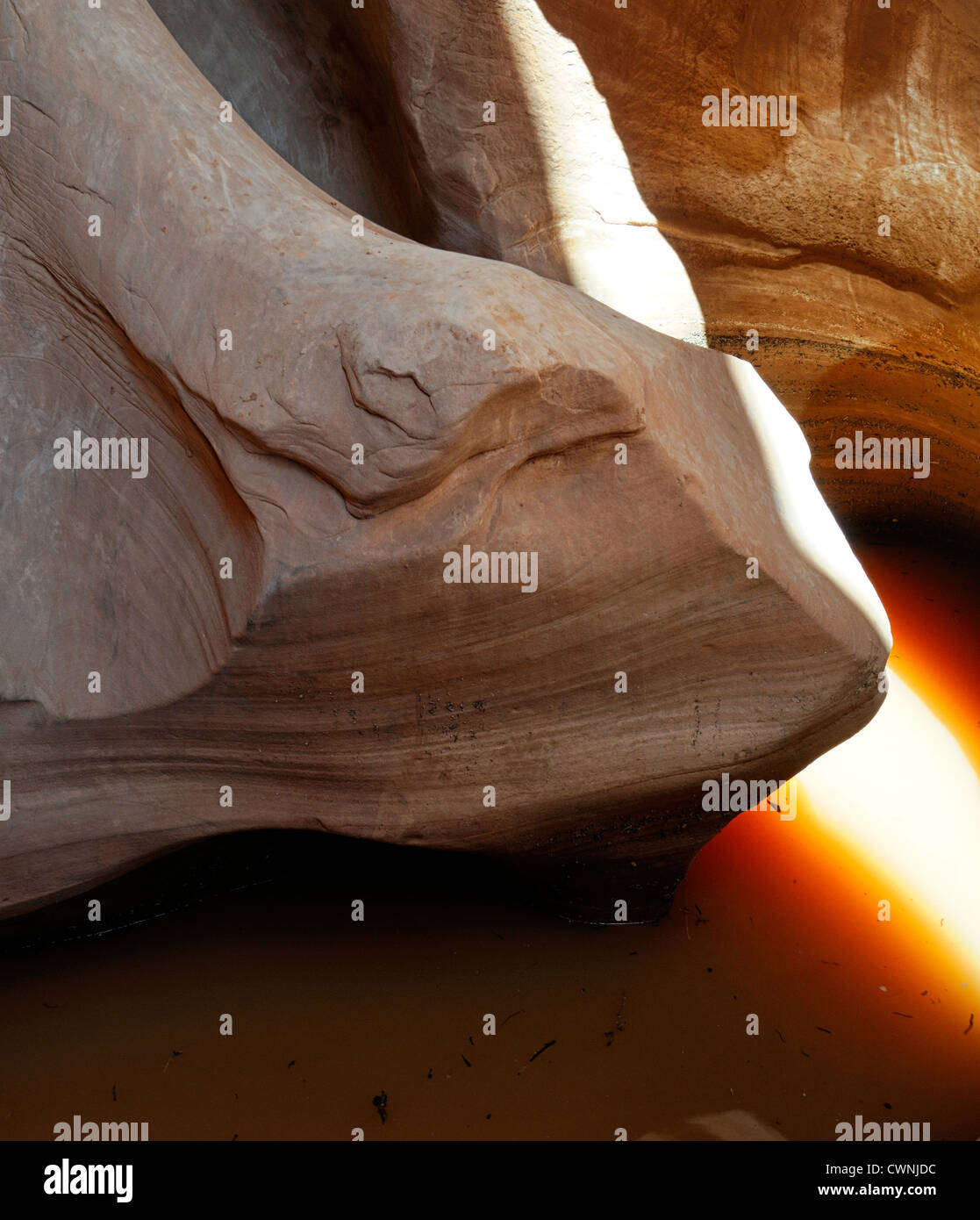 La luce riflessa formazioni rocciose marcature striature spooky slot canyon Escalante Scalone monumento nazionale USA Utah Foto Stock