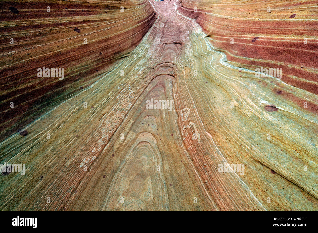 Ritorta rosso roccia arenaria formazione desert north coyote buttes utah erosione formazione geologica strano strano stranamente sagomate Foto Stock
