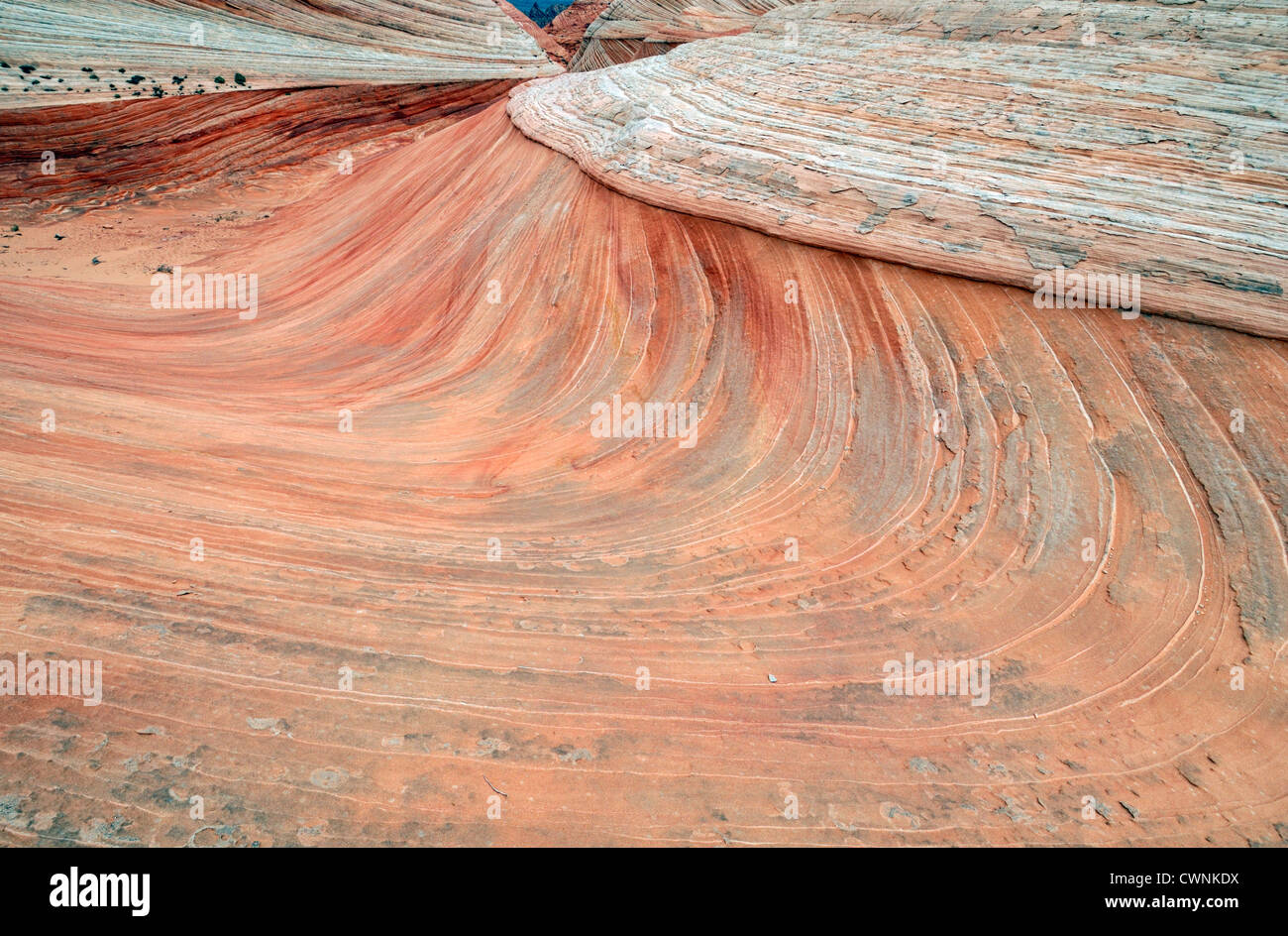 Ritorta rosso roccia arenaria formazione desert north coyote buttes utah erosione formazione geologica strano strano stranamente sagomate Foto Stock
