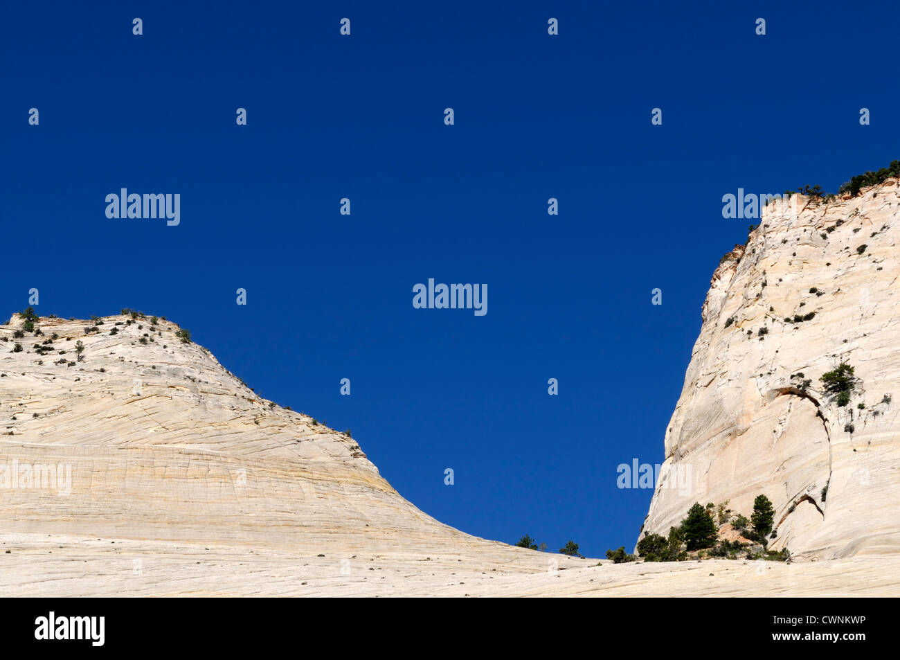Torreggiante altezza alte scogliere di arenaria zion national park nello Utah Foto Stock
