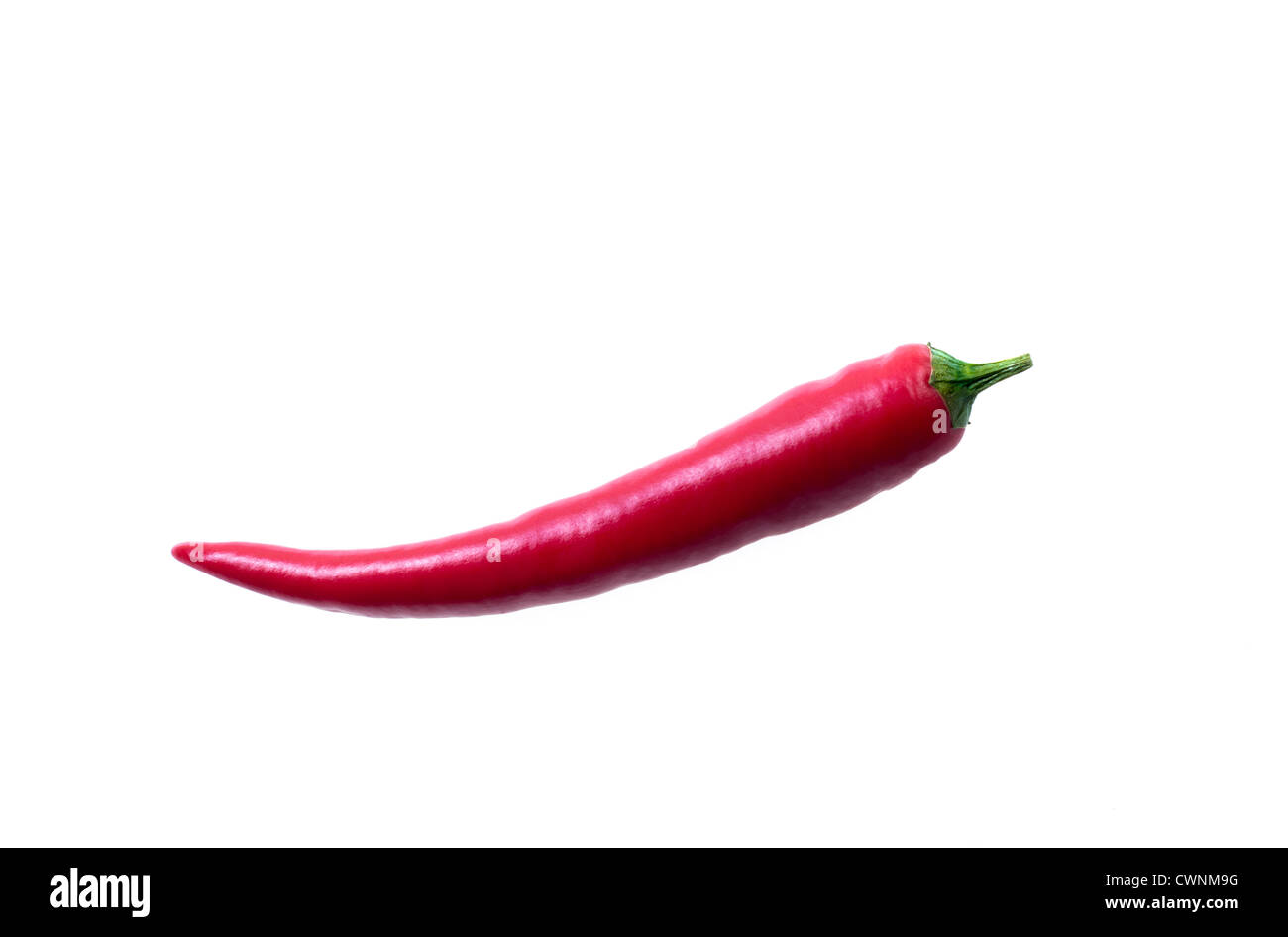 Peperoncino rosso, isolata su 100% sfondo bianco Foto Stock