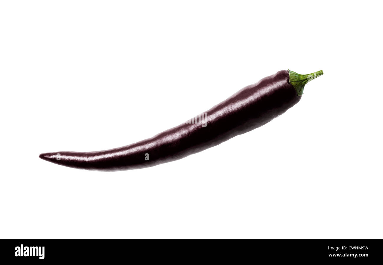 Nero peperoncino, simbolo per alimenti manipolati, composizione isolata sul 100% sfondo bianco Foto Stock