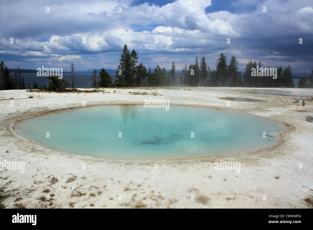 West Thumb Geyser Basin nel parco nazionale di Yellowstone, Wyoming USA Foto Stock