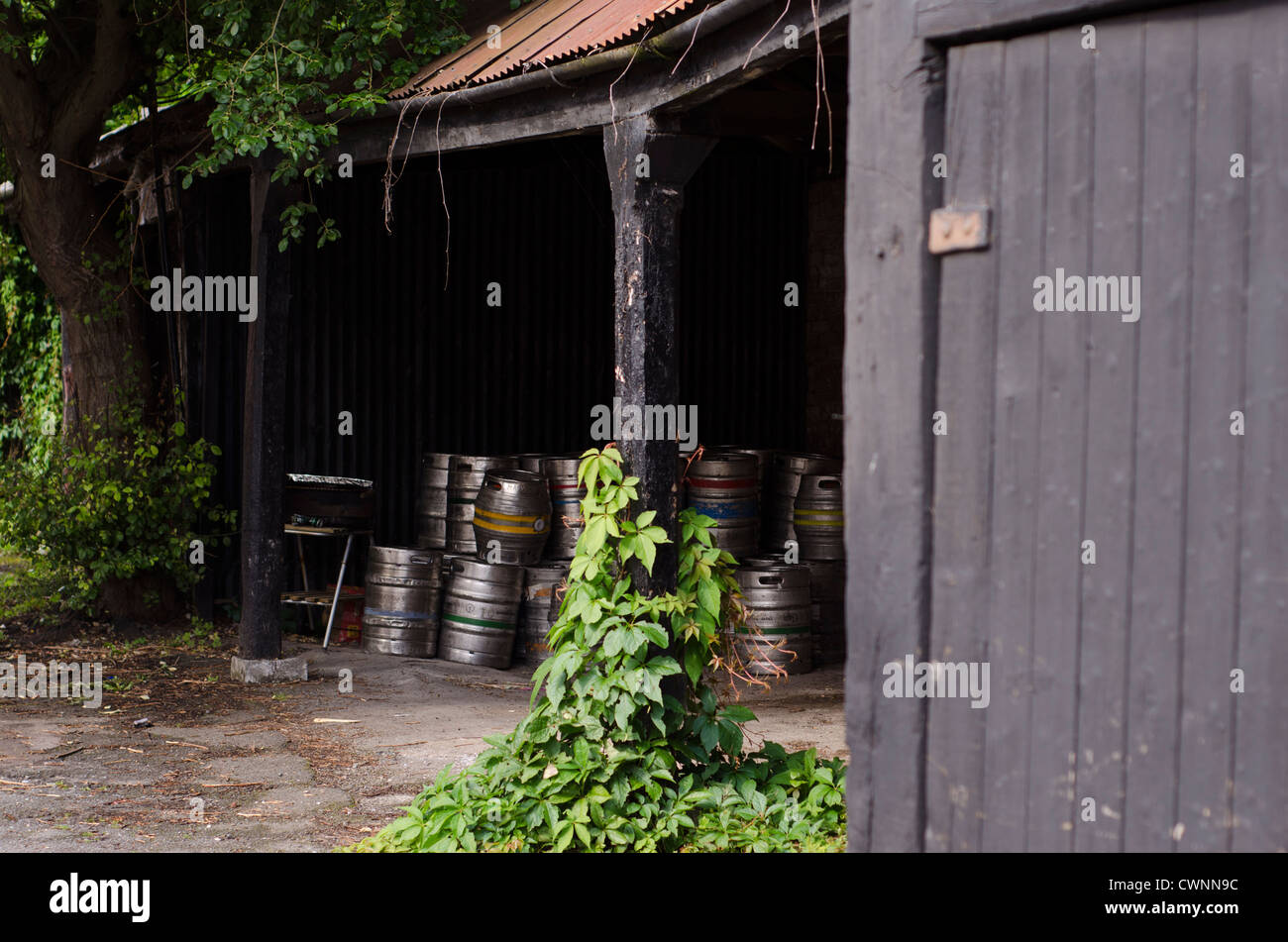 Una cache di metallo barili di birra in un pub portico di spazio di storage ricoperta da piante rampicanti. Foto Stock