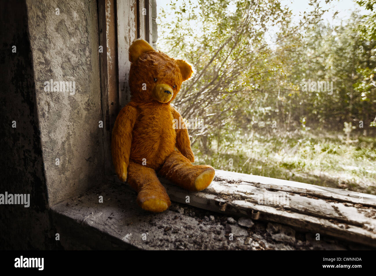 Giocattolo Antico bear abbandonati in rovine. Giocattolo sovietica 70s Foto Stock