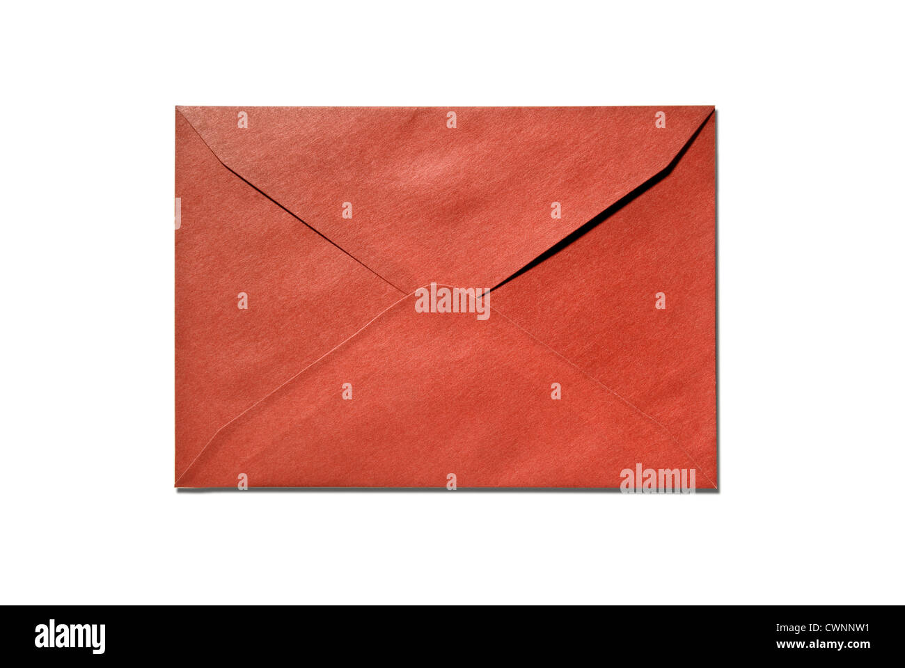 Busta, isolati su 100% sfondo bianco Foto Stock