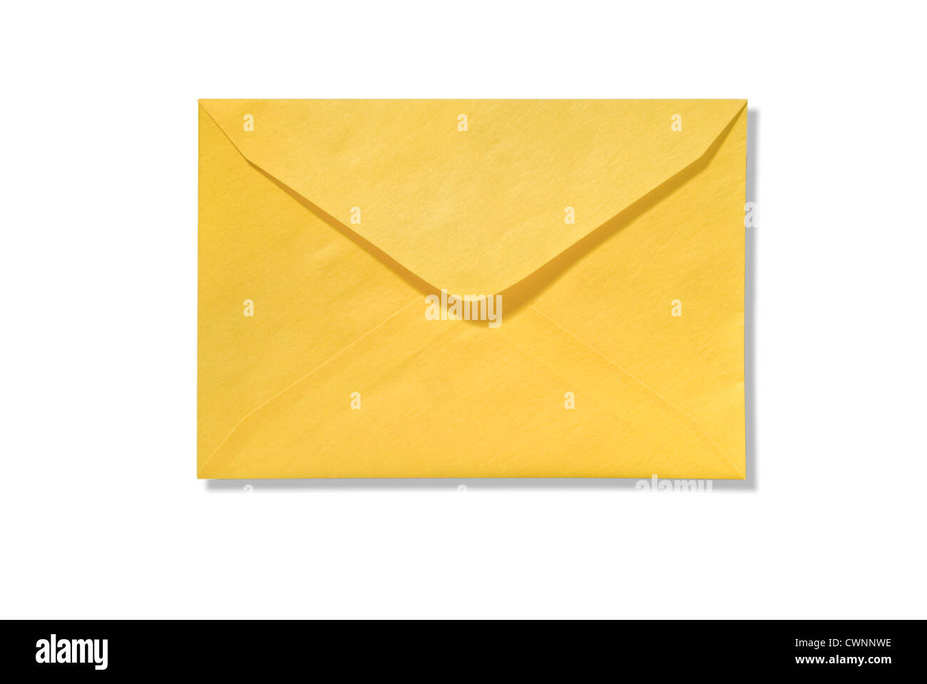 Busta, isolati su 100% sfondo bianco Foto Stock