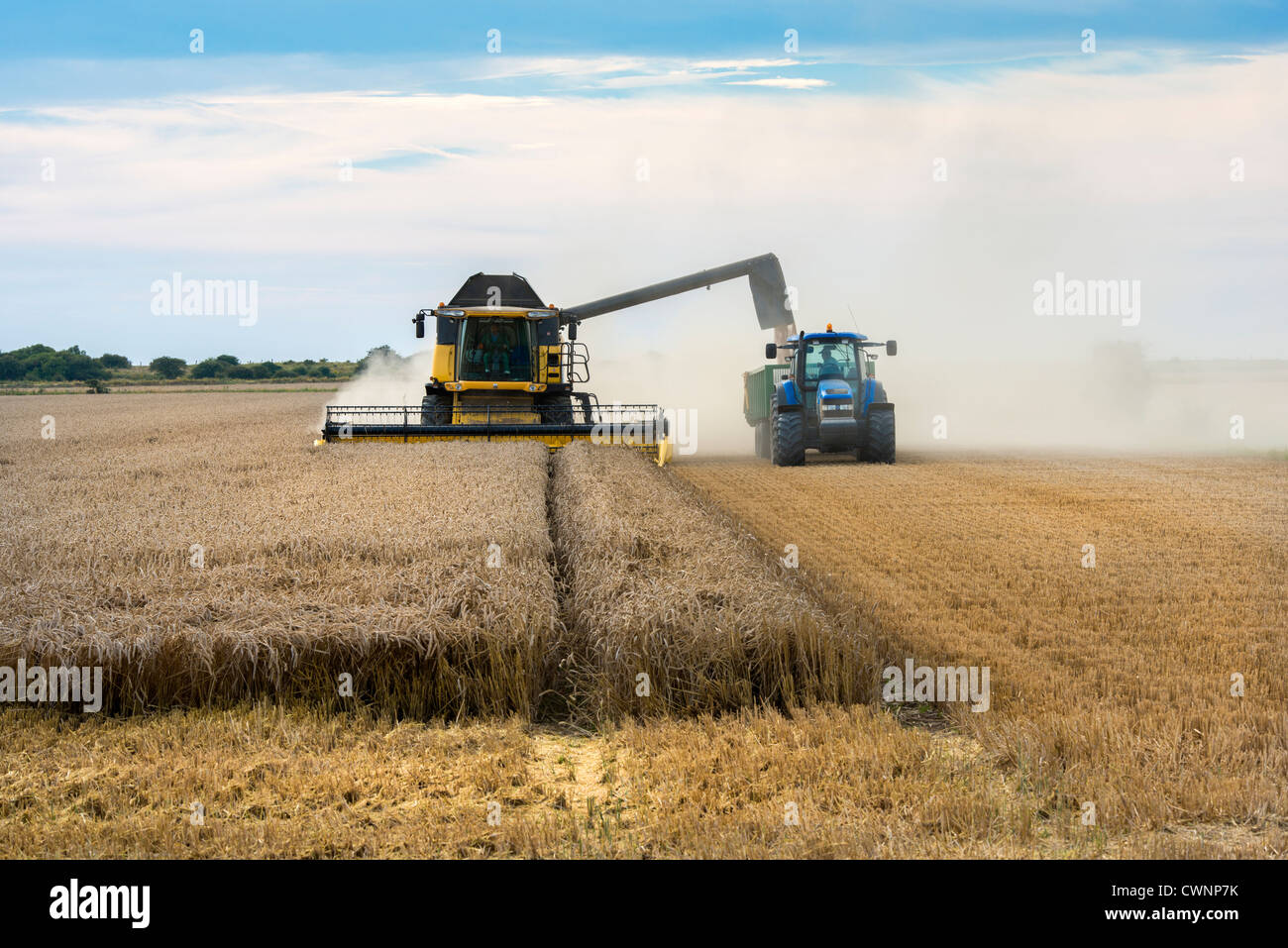 New Holland CX8060 Mietitrebbia operanti nel campo di grano Foto Stock