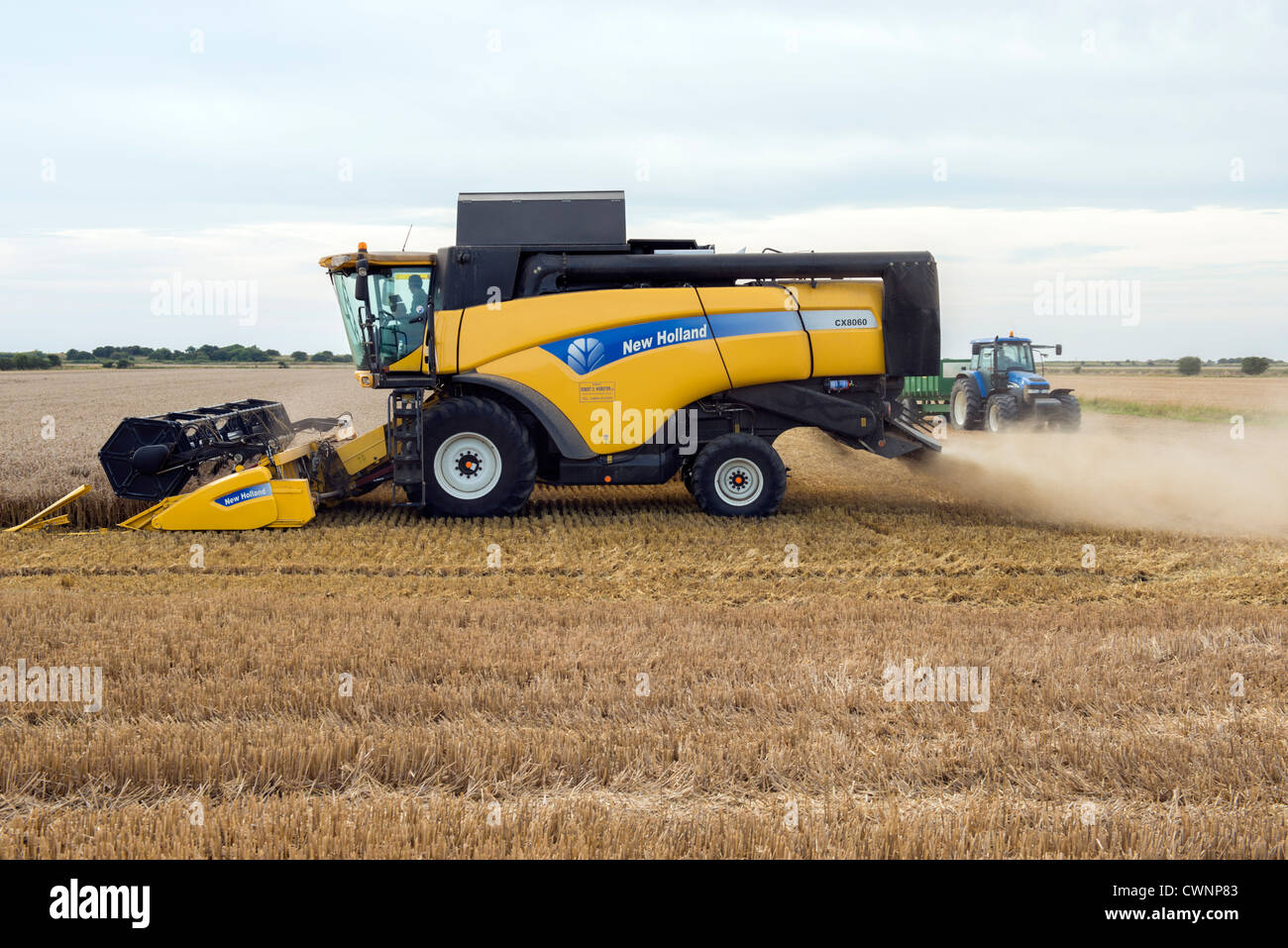 New Holland CX8060 Mietitrebbia operanti nel campo di grano Foto Stock