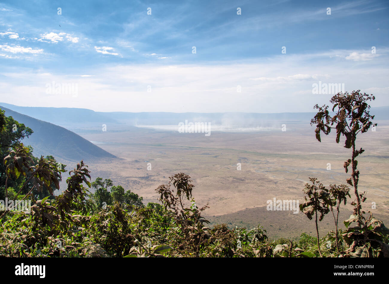 AREA PROTETTA DI NGORONGORO, Tanzania - Vista dal bordo del cratere di Ngorongoro nella zona protetta di Ngorongoro, parte del circuito settentrionale della Tanzania di parchi nazionali e riserve naturali. Il cratere di Ngorongoro, patrimonio dell'umanità dell'UNESCO, è una vasta caldera vulcanica nel nord della Tanzania. Creato 2-3 milioni di anni fa, misura circa 20 chilometri di diametro ed è sede di diversi animali selvatici, tra cui i "Big Five" animali da caccia. La zona protetta di Ngorongoro, abitata dal popolo Maasai, contiene anche importanti siti archeologici come la Gola di Olduvai e Laetoli, che offrono Foto Stock