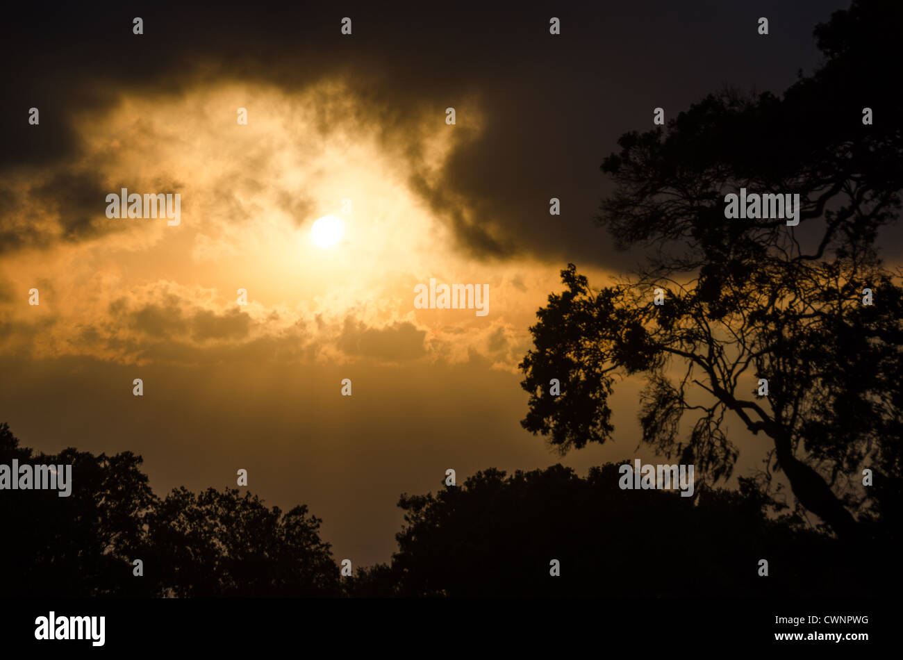 CRATERE DI NGORONGORO, Tanzania: Il primo tramonto dietro le nuvole visto dal bordo del cratere di Ngorongoro nella Ngorongoro Conservation area. Il cratere, formato da una caldera vulcanica crollata, fa parte del circuito safari settentrionale della Tanzania, costituito da parchi nazionali e riserve naturali. La Ngorongoro Conservation area è un sito patrimonio dell'umanità dell'UNESCO che comprende il cratere e gli altopiani circostanti. L'area è conosciuta per le sue diverse popolazioni di fauna selvatica e funge da habitat critico per numerose specie. L'area protetta opera secondo un modello unico che consente sia la protezione della fauna selvatica Foto Stock