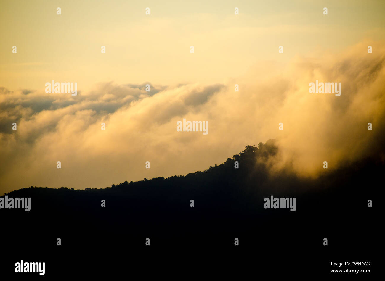 CRATERE DI NGORONGORO, Tanzania - nuvole rotolano sul bordo del cratere di Ngorongoro all'interno della Ngorongoro Conservation area. Il cratere, formato da una caldera vulcanica crollata, fa parte del circuito safari settentrionale della Tanzania e si trova all'interno di un sito patrimonio dell'umanità dell'UNESCO. L'area di conservazione di Ngorongoro si estende per circa 8.292 chilometri quadrati e funge da area di utilizzo multiplo della terra dove la conservazione della fauna selvatica coesiste con la pastorizia semi-nomade Maasai. Il cratere stesso scende a circa 610 metri sotto gli altopiani circostanti e contiene una delle popolazioni di fauna selvatica più concentrate dell'Africa. Il Foto Stock