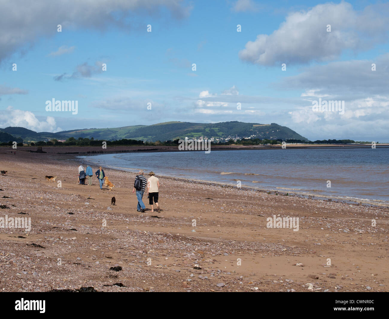 Dog walker sulla spiaggia di Blue Anchor con minehead in distanza. Somerset Foto Stock