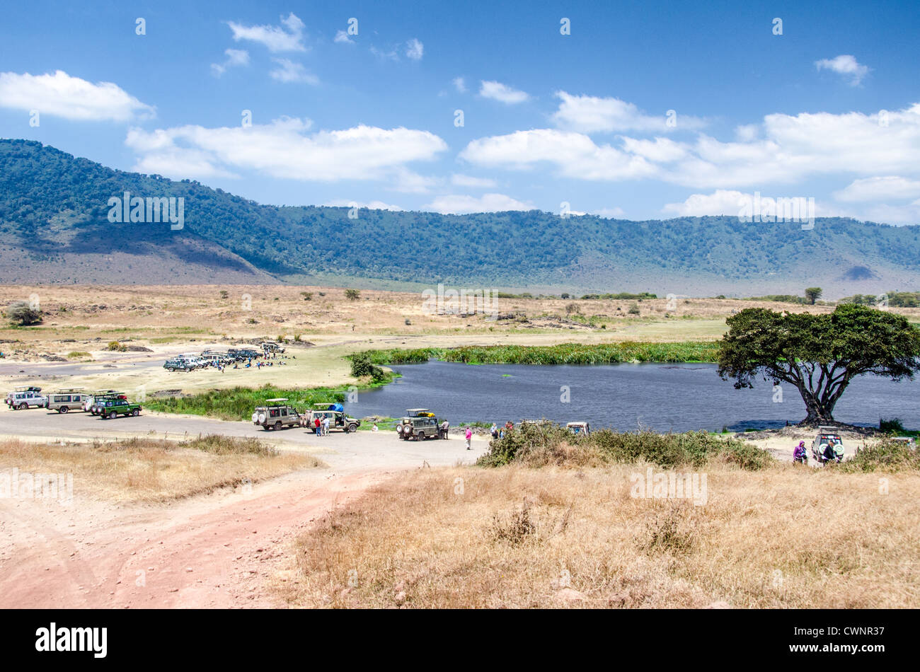 AREA PROTETTA DI NGORONGORO, Tanzania - una delle poche aree picnic designate al Cratere di Ngorongoro nell'Area protetta di Ngorongoro, parte del circuito settentrionale della Tanzania di parchi nazionali e riserve naturali. Il cratere di Ngorongoro, patrimonio dell'umanità dell'UNESCO, è una vasta caldera vulcanica nel nord della Tanzania. Creato 2-3 milioni di anni fa, misura circa 20 chilometri di diametro ed è sede di diversi animali selvatici, tra cui i "Big Five" animali da caccia. L'area protetta di Ngorongoro, abitata dal popolo Maasai, contiene anche importanti siti archeologici come la Gola di Olduvai e. Foto Stock