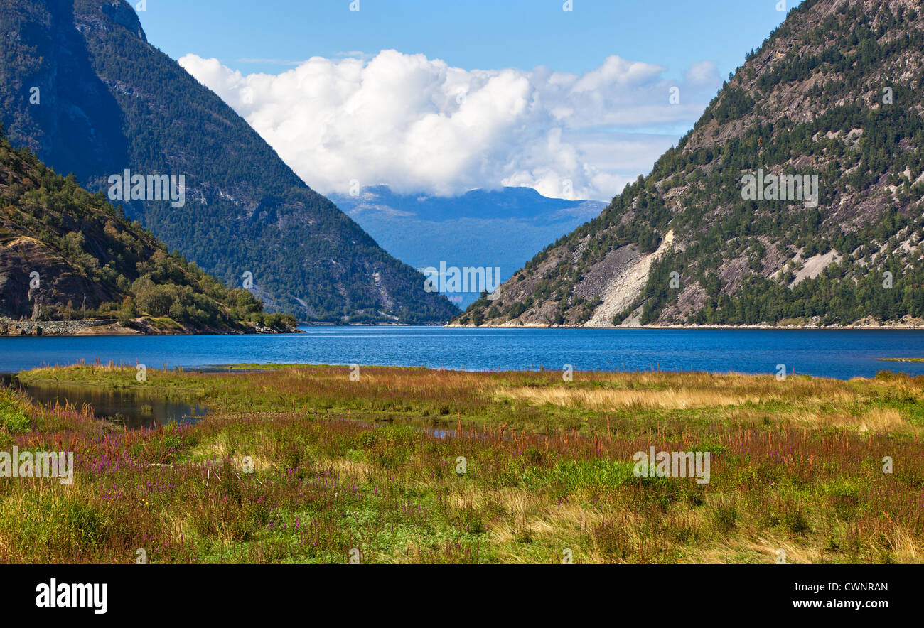Fiordo paesaggio estivo in Norvegia. Foto Stock
