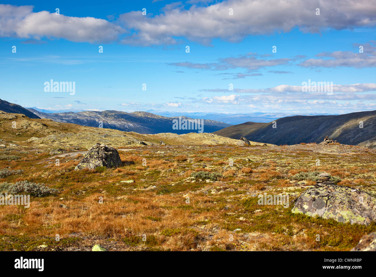 Norvegia alte montagne paesaggio estivo. Foto Stock