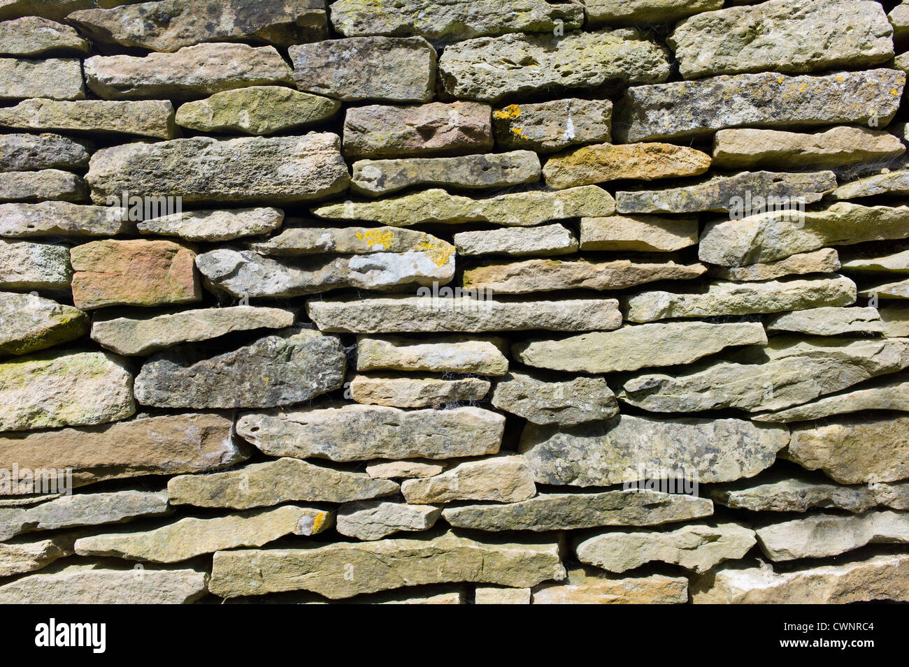 Stalattite muro a Swinbrook in Cotswolds, Oxfordshire, Regno Unito Foto Stock