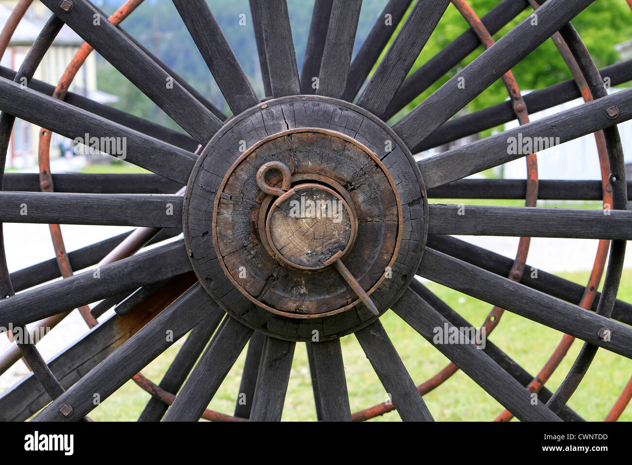 Vecchio, antichi ruota di carro con weathered legno e metallo arrugginito parti in un campo erboso. Chiudere la gamma. Foto Stock