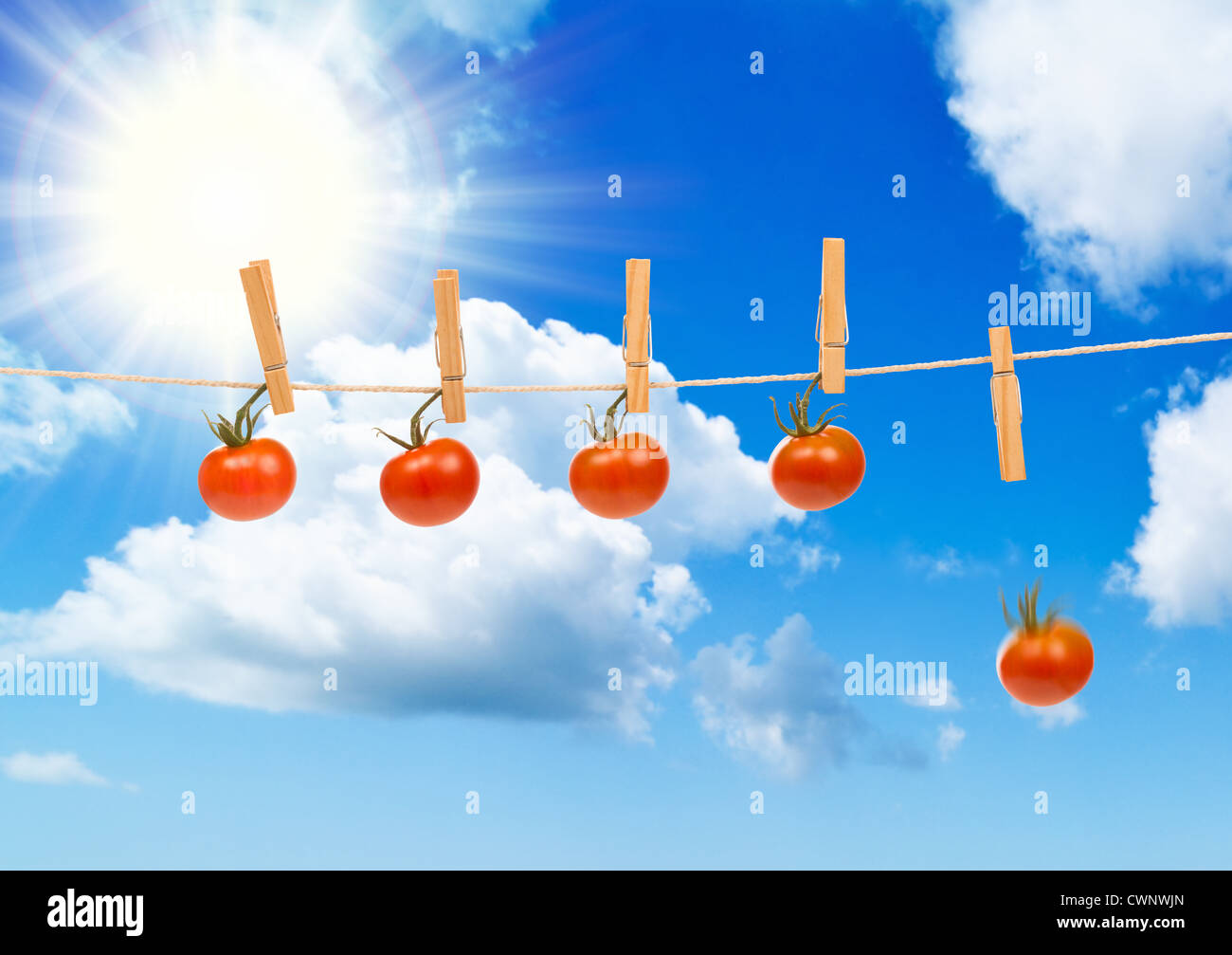 Pomodori secchi contro il Cielo di estate blu con una caduta Foto Stock