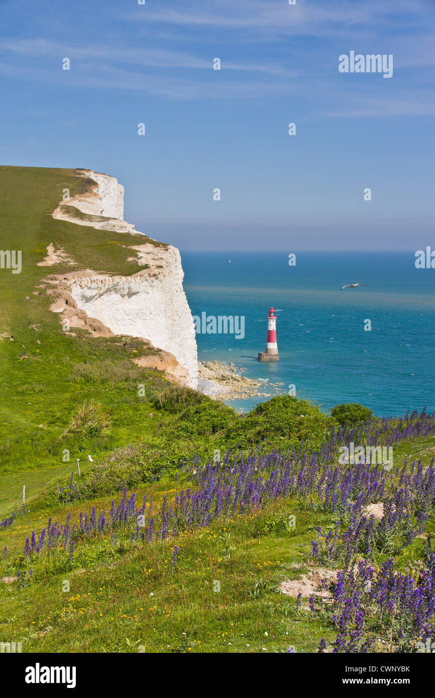 Beachy Head Lighthouse Foto Stock