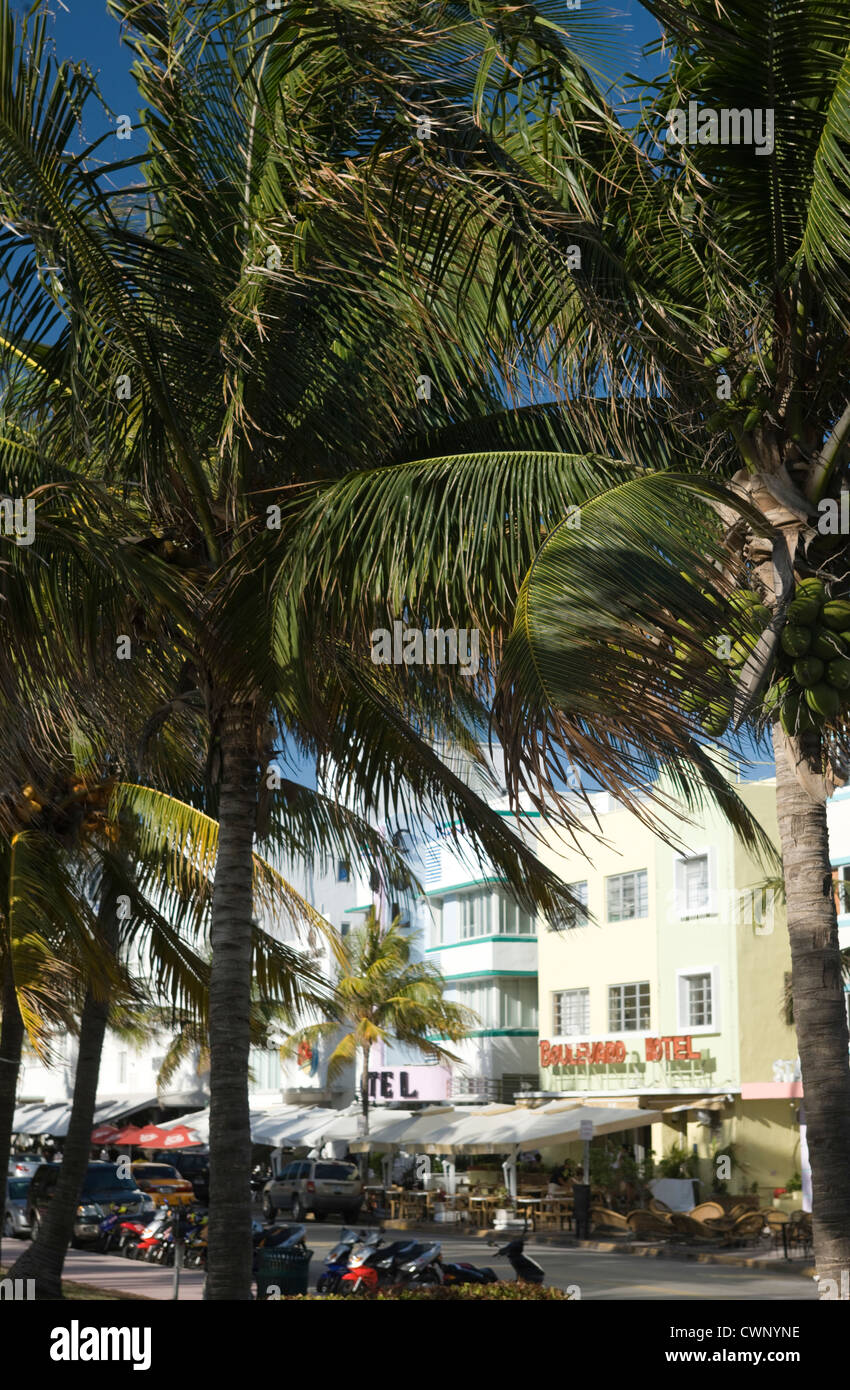 Il Palms Hotel Ocean Drive e South Beach Miami Beach Florida USA Foto Stock