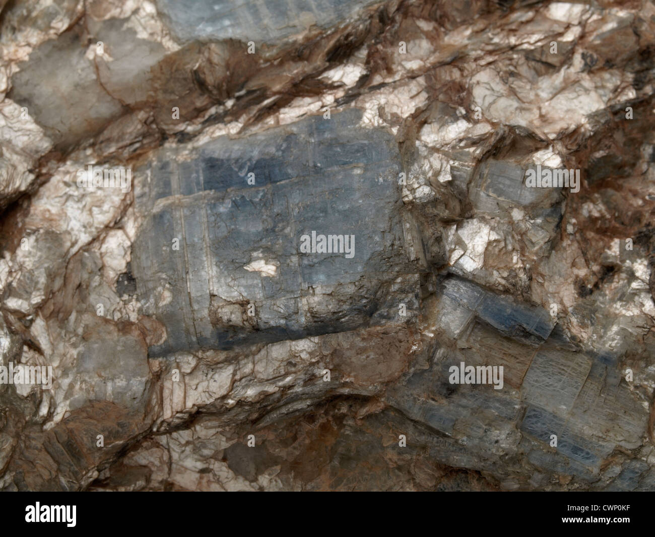 Disthene (cianite); Kajmakcalan, Macedonia Foto Stock