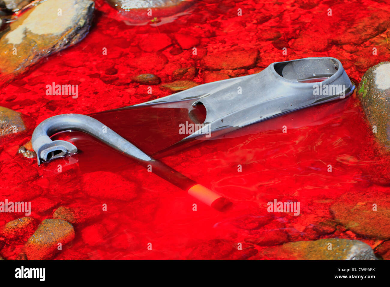 Attacco di squalo che mostra un subacqueo a pinna e fare snorkelling in una pozza di sangue lungo il litorale in acqua Foto Stock